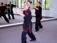 Yang style Tai Chi Chuan